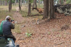 Vanya_resort 2025-09-26 at 10.56.55 AM