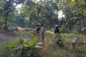 nature-walk-kanha